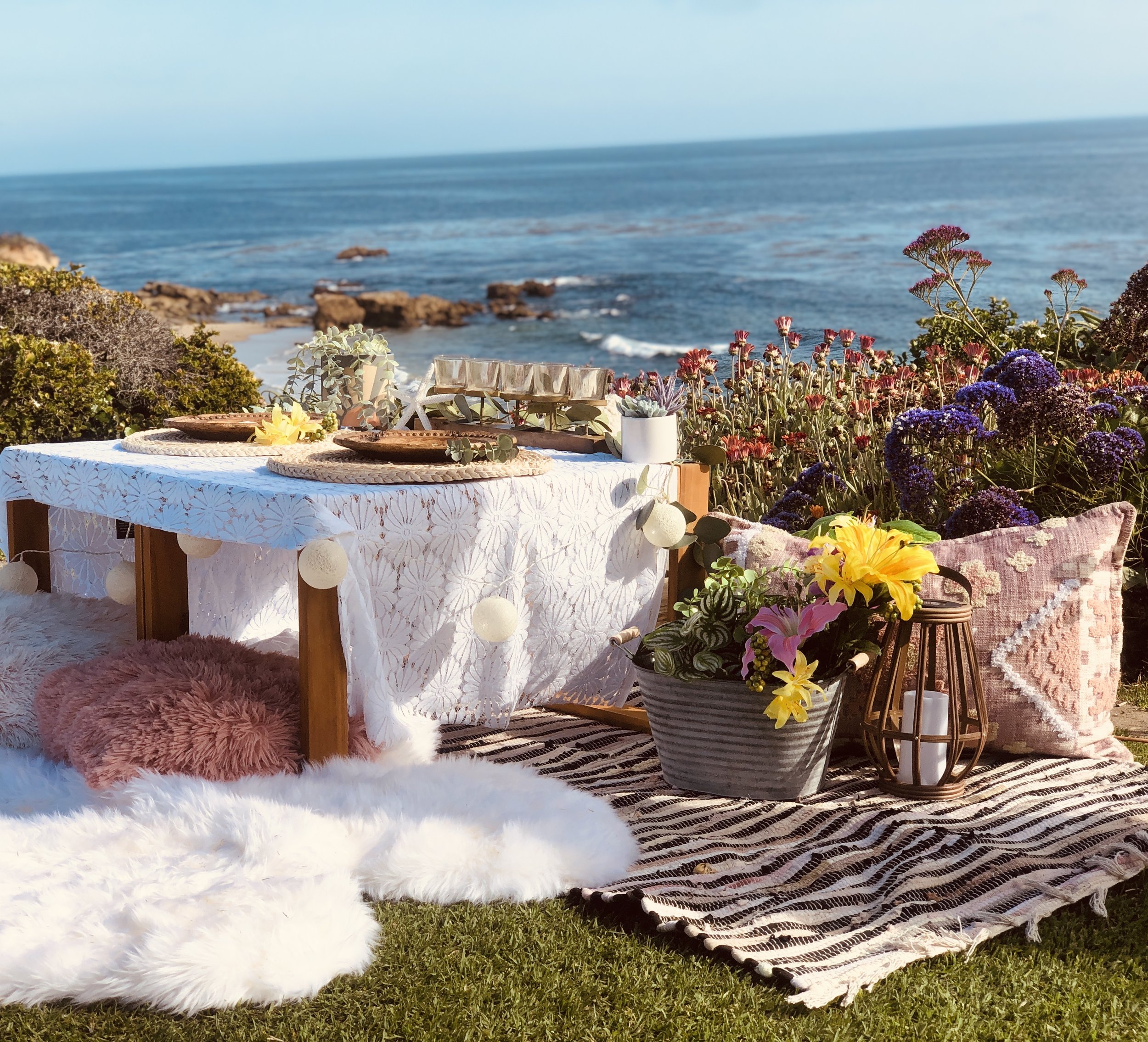 Laguna Beach Picnic Co 1 .jpg