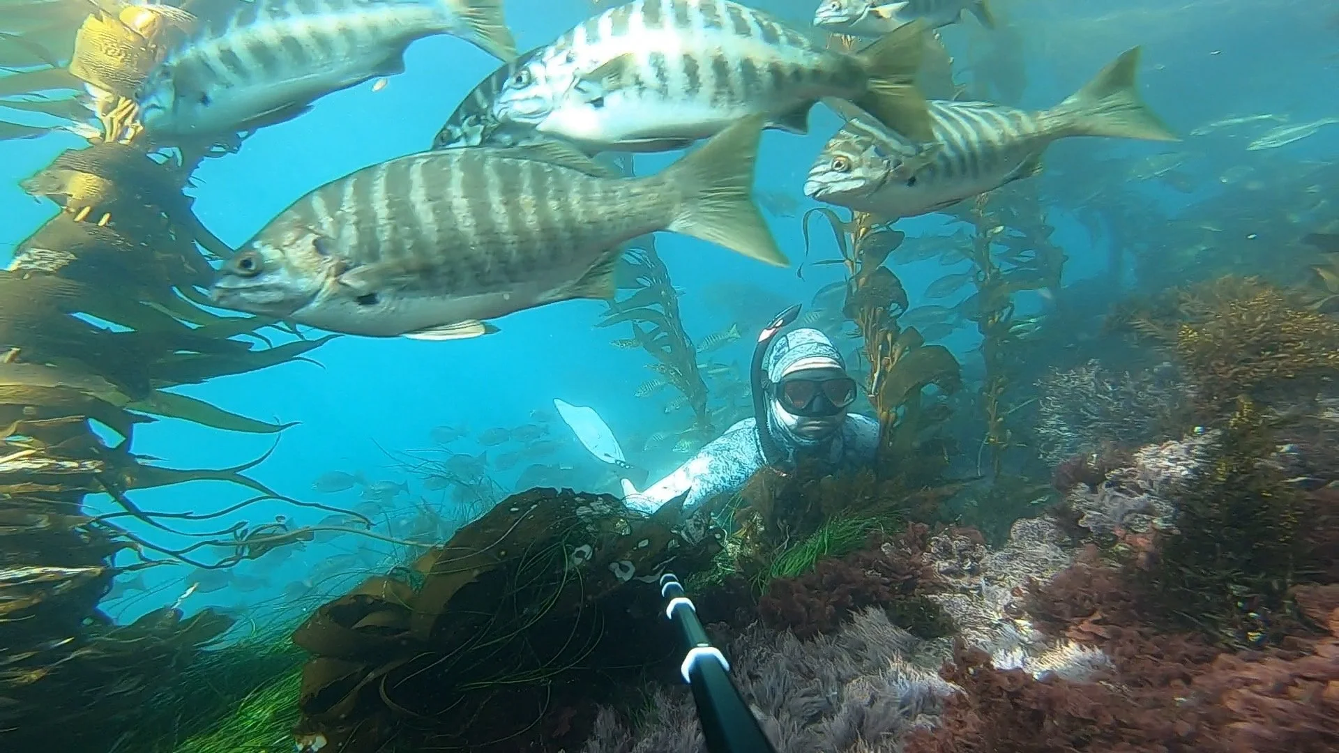 GPTempDownload 2.JPG