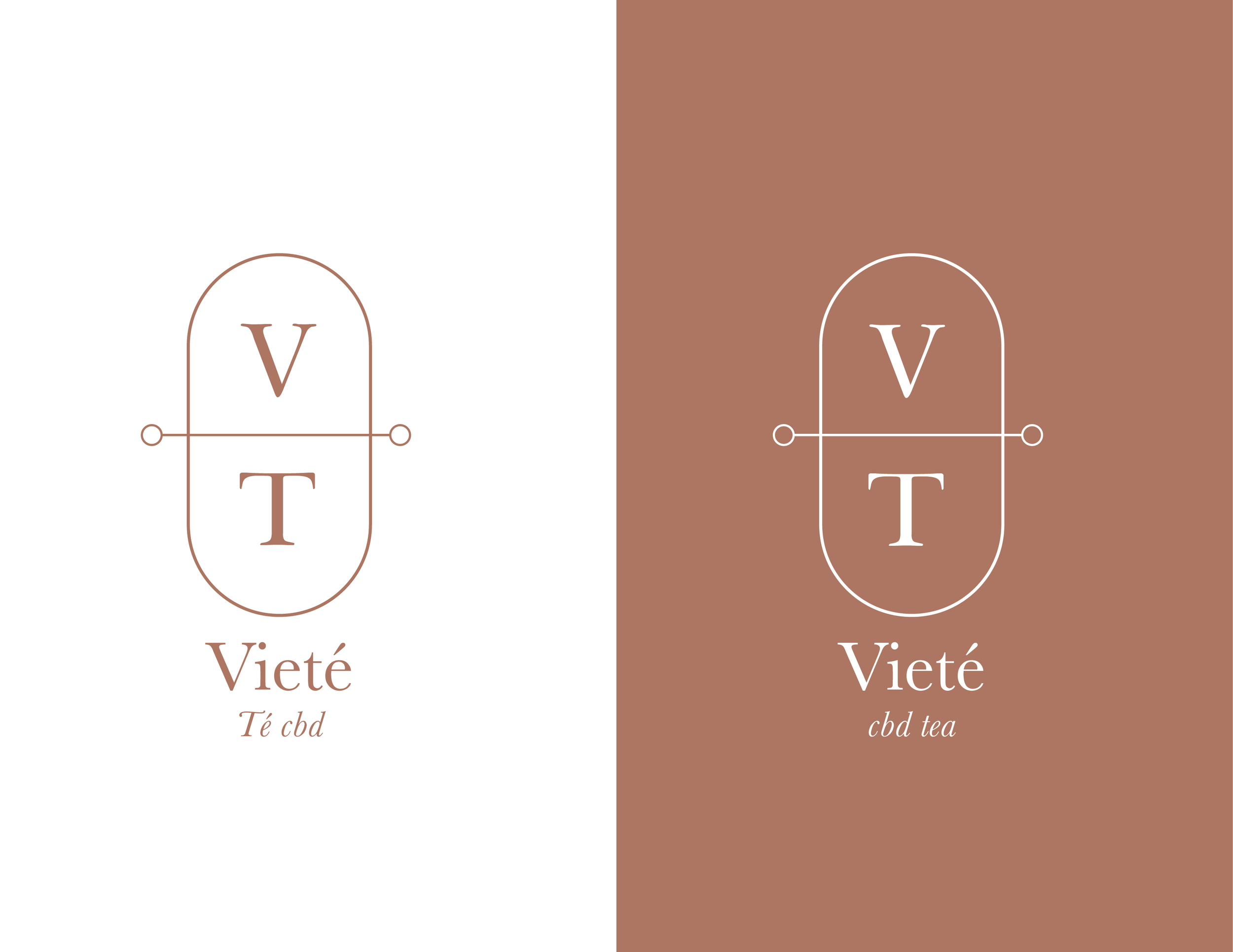 Viethe_logo-05.png