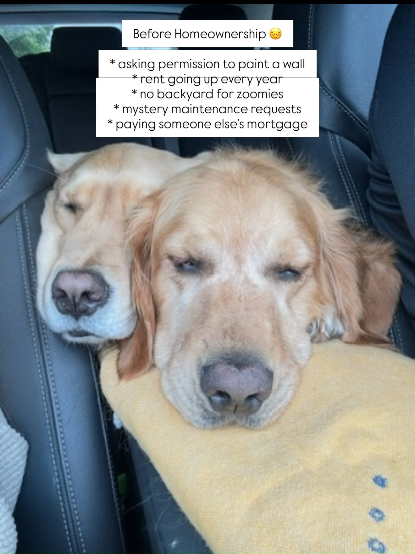Not saying homeownership solves all your problems&hellip; but the pups seems happier. 🐶🏡😂

Thinking about making the jump from renting to owning? I&rsquo;d love to help you explore your options.

#columbusrealestate #columbusrealtor #homeownership