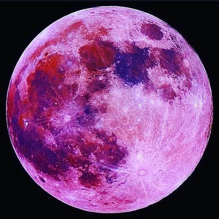 Tarot Tuesday in one hour (11 AM CST) inside the Facebook group WILD WEALTHY WITCHES!

📸 by @goddess_rising

(Link in bio)

#wealthalchemy #higherconsciousness #manifestationmagic #manifestationbabe #lawofattraction #bossladymindset #coachlife #magi