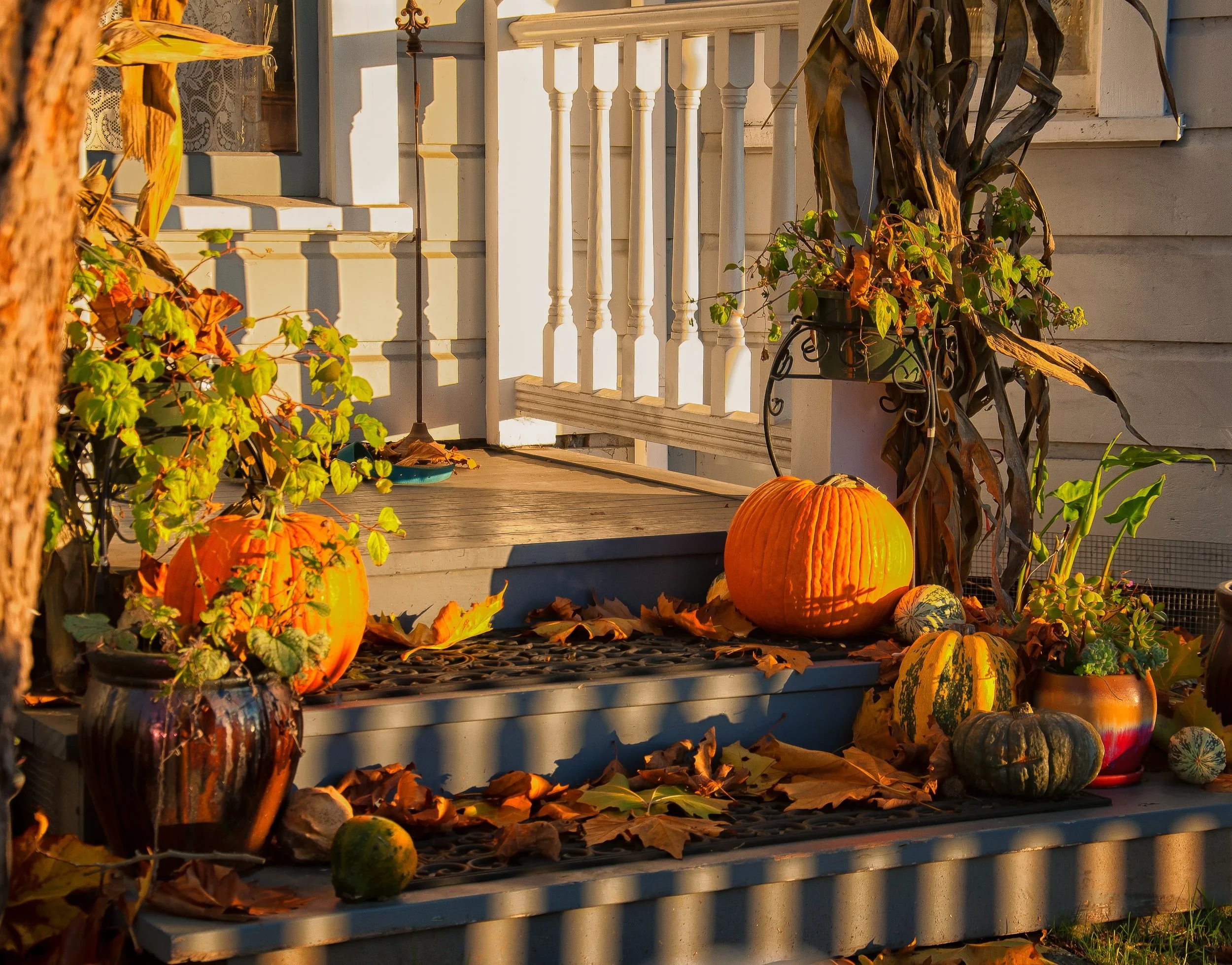 Harvesting the Porch Hang