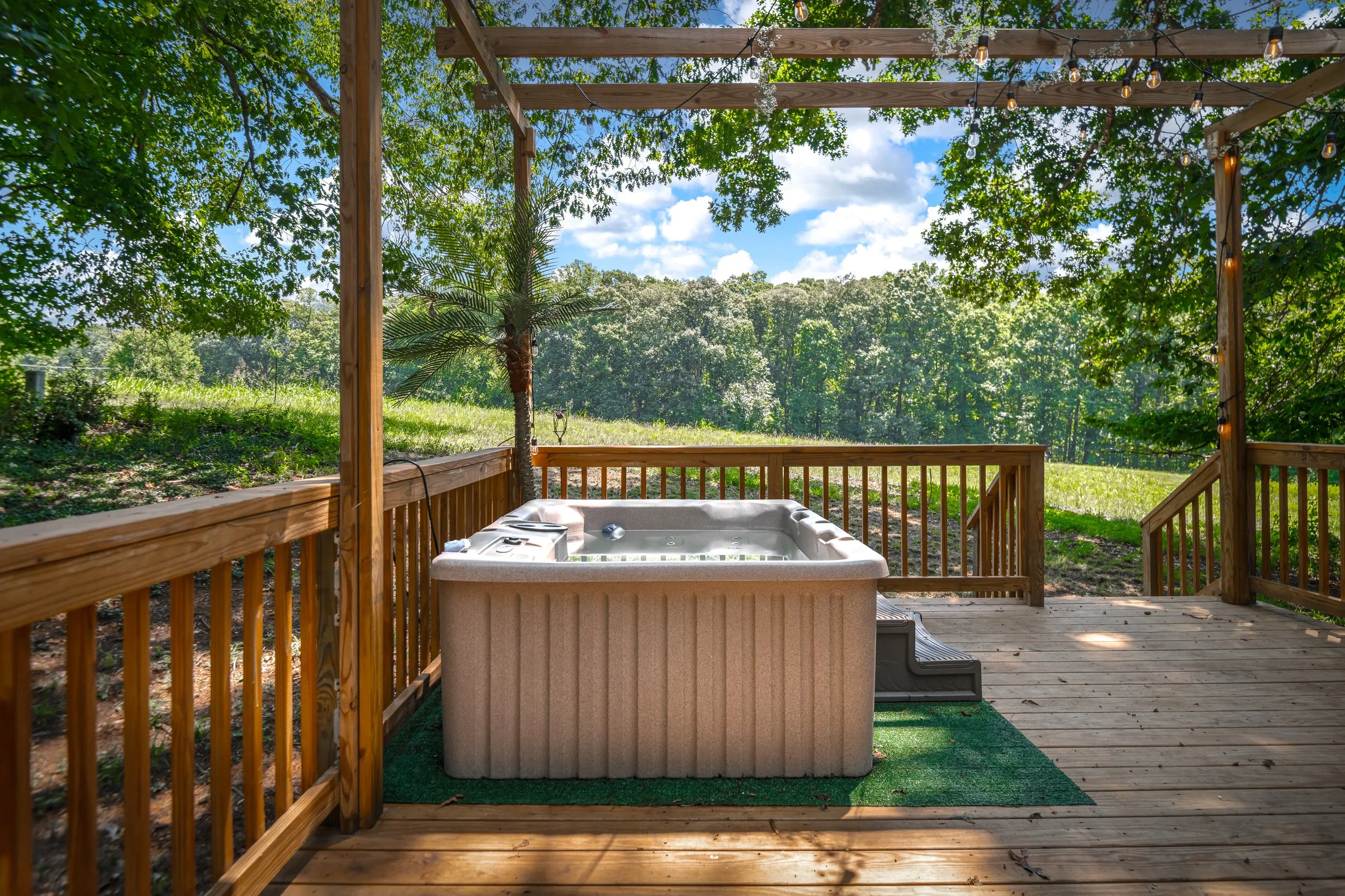 1617 Colehollow Dr, Midlothian, VA 23113, USA-50.jpg