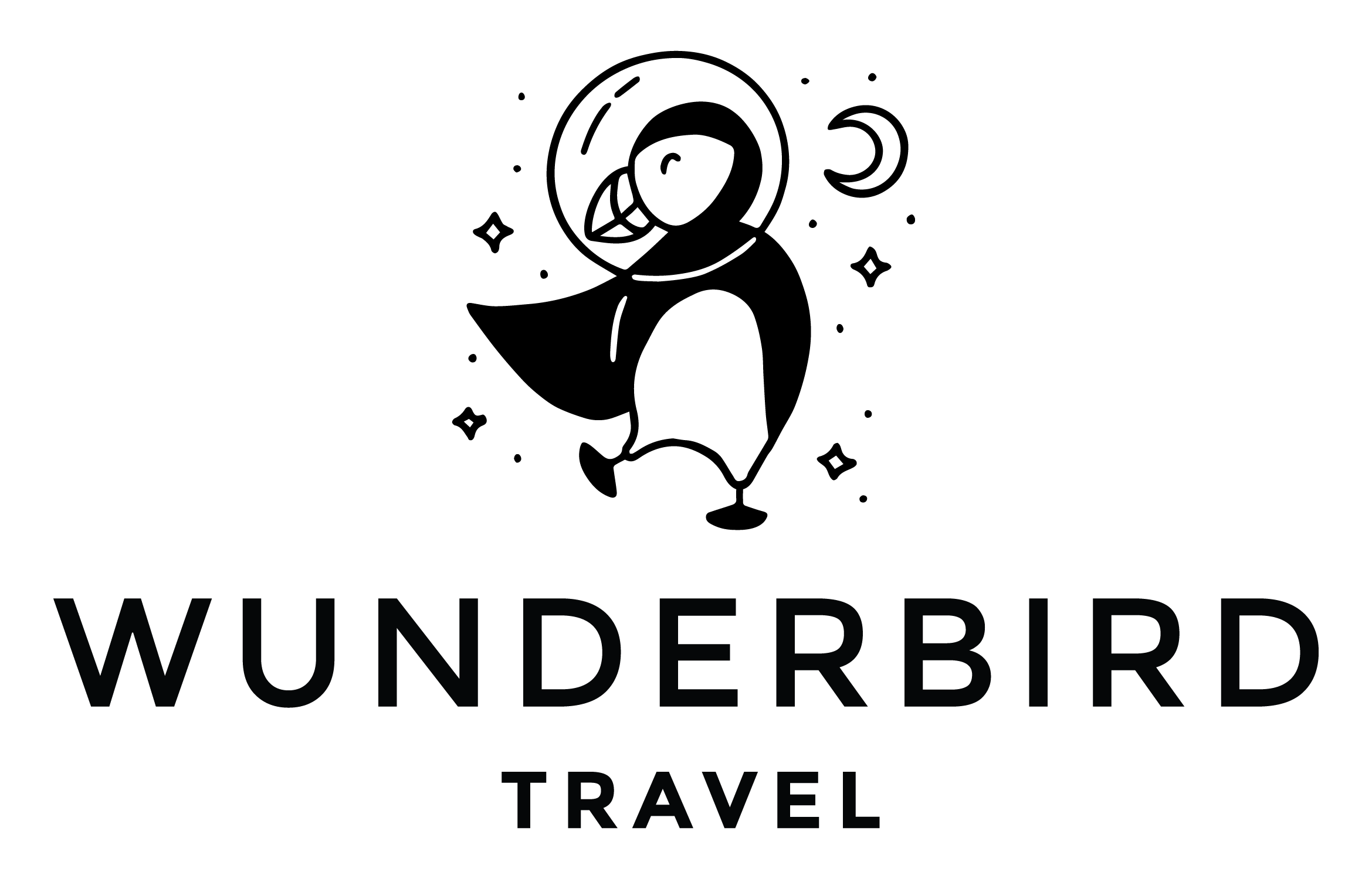 Jules the Astronaut: Wunderbird's Logo