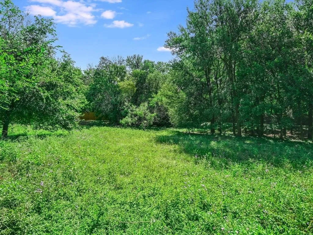 green space.jpeg