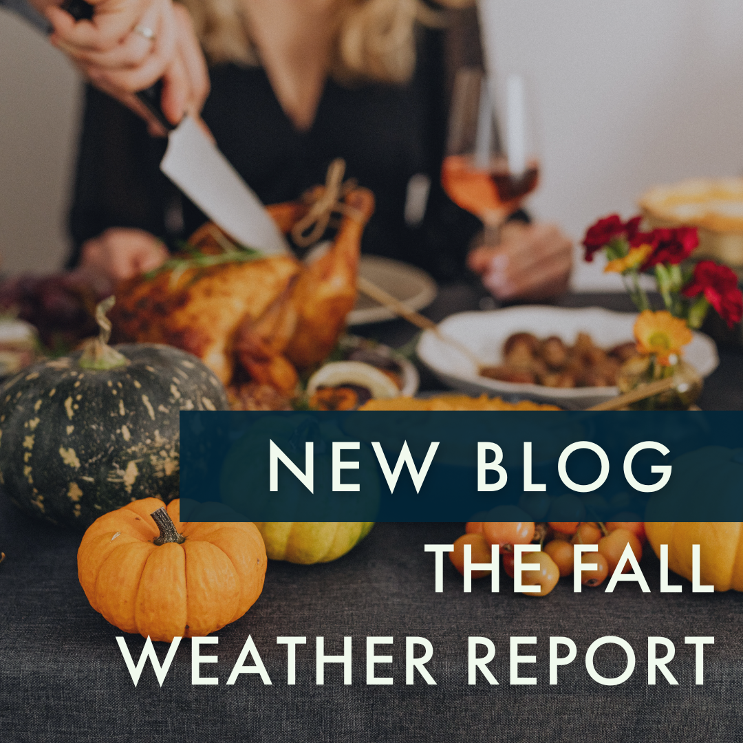 BLOG: The Fall Weather Report | Issue 381