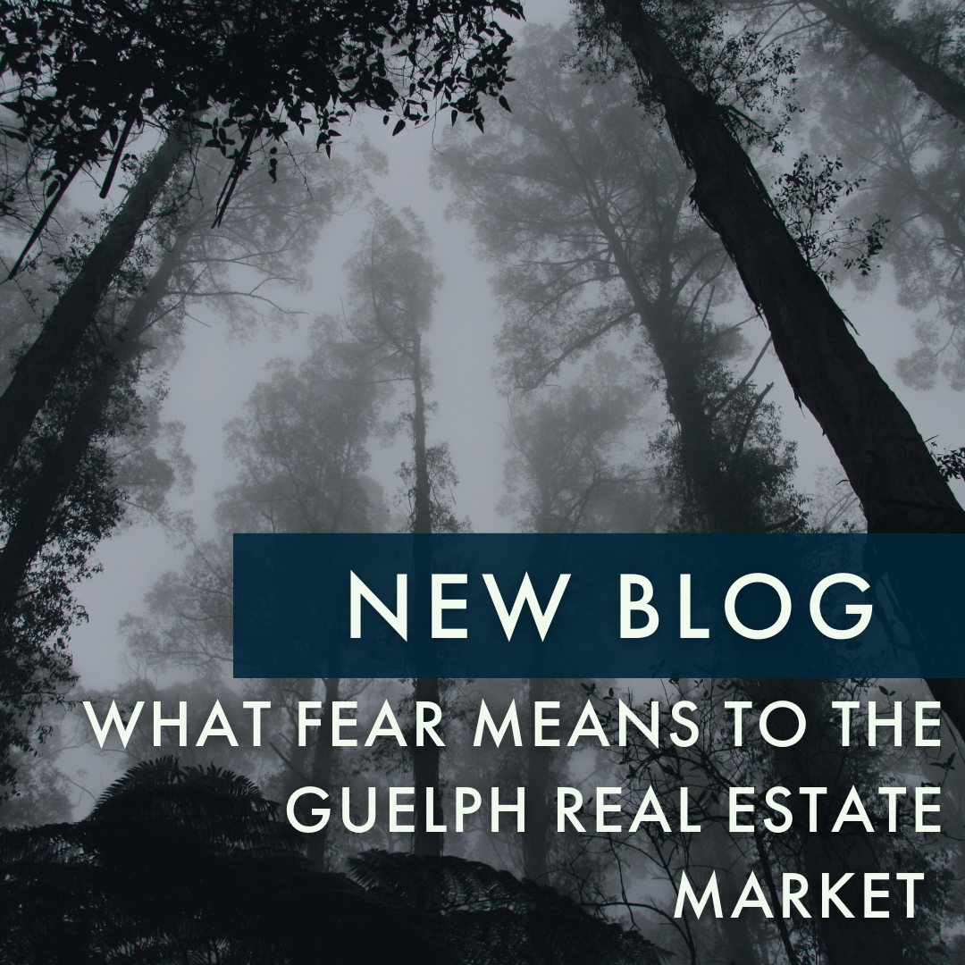 BLOG: What Fear Means to the Guelph Real Estate Market | Issue 382