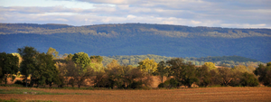 Your Guide to Small-Town Living in Clarke County, VA