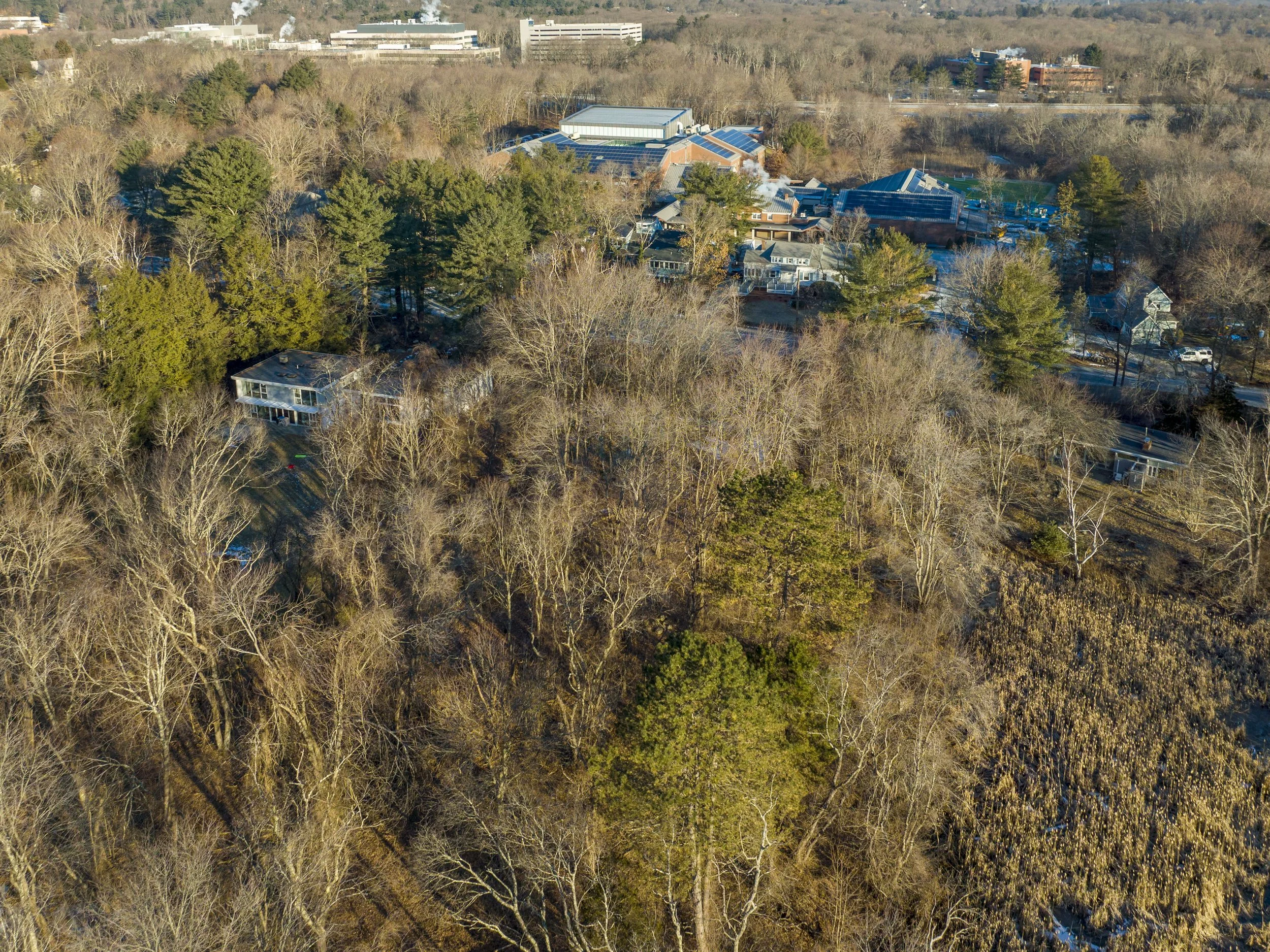 DJI_0007.jpg