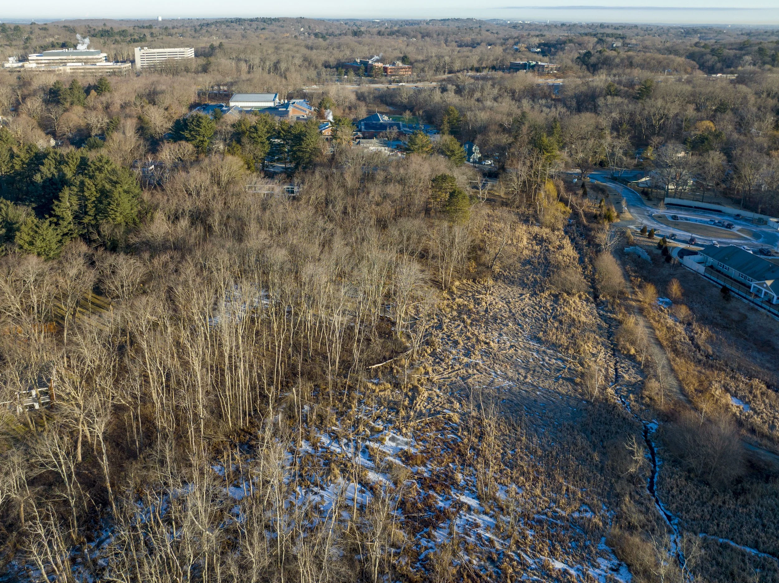 DJI_0012.jpg