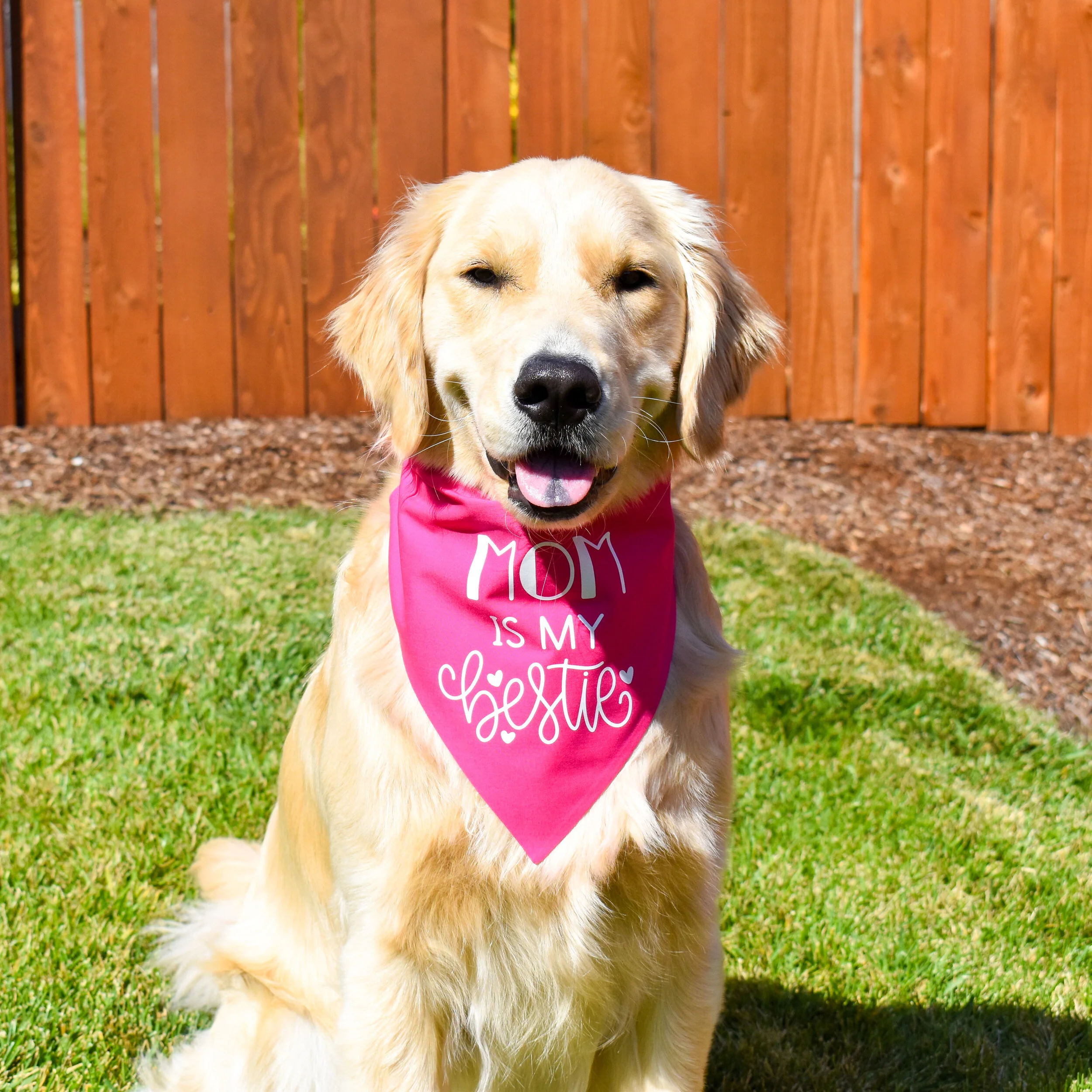 extra large dog bandanas