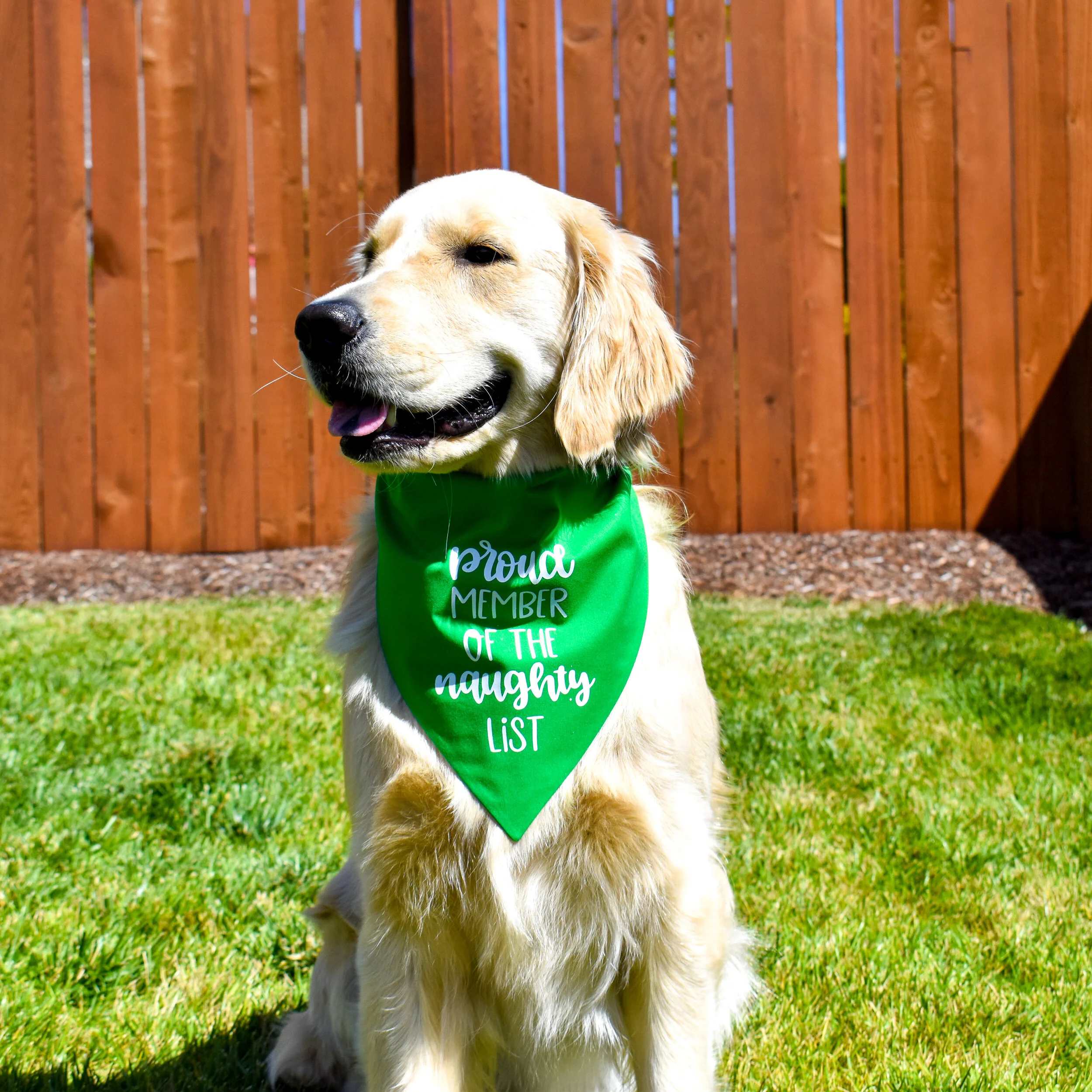oktoberfest dog bandana