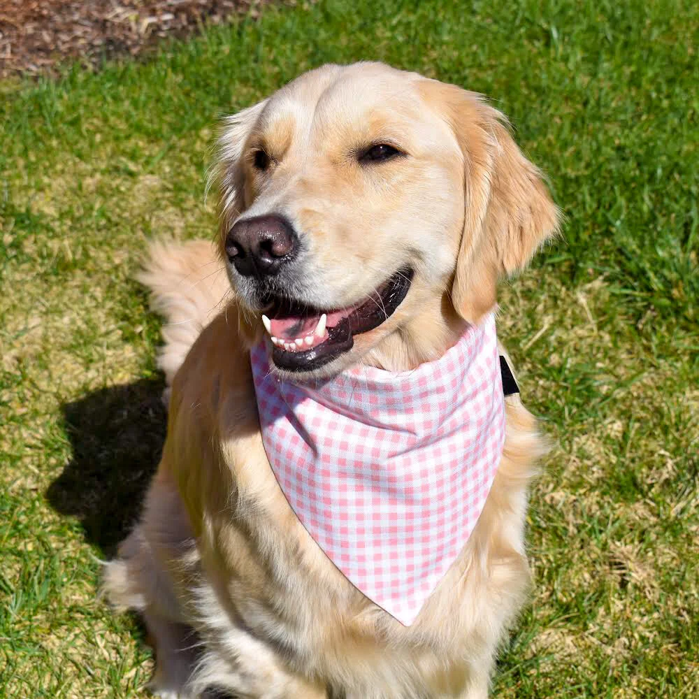 pink bandana for dogs