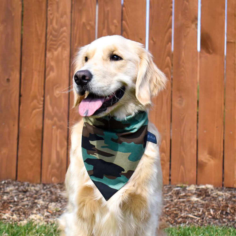 Camouflage Camo Over the Collar Dog Bandana 4 sizes available