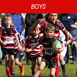 Kiwi Hawthorn Rugby Union Boys