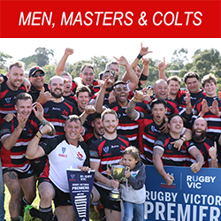 Kiwi Hawthorn Rugby Union Men Masters Colts