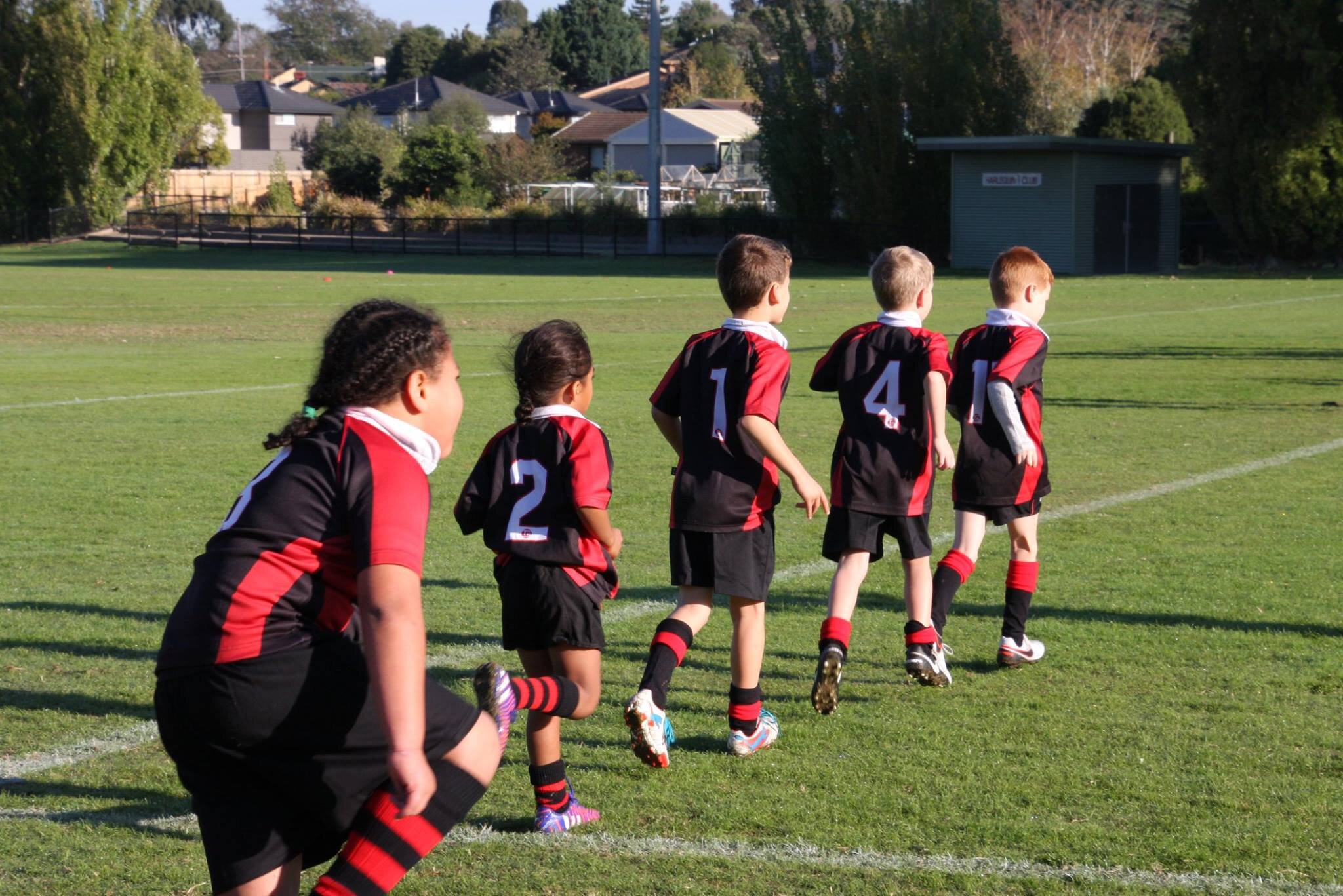 Kiwi Hawthorn Rugby Junior Boys