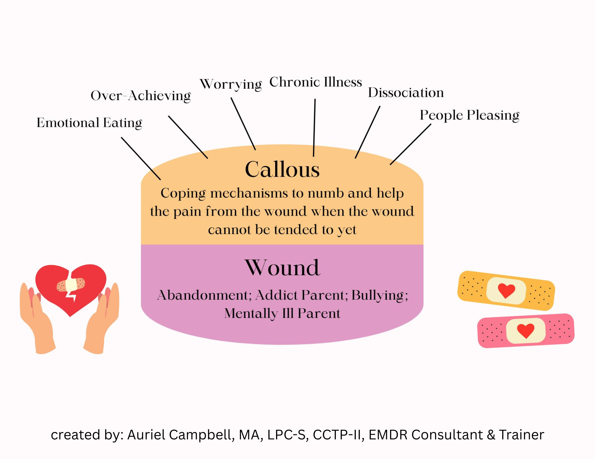Callous and Wound Visual