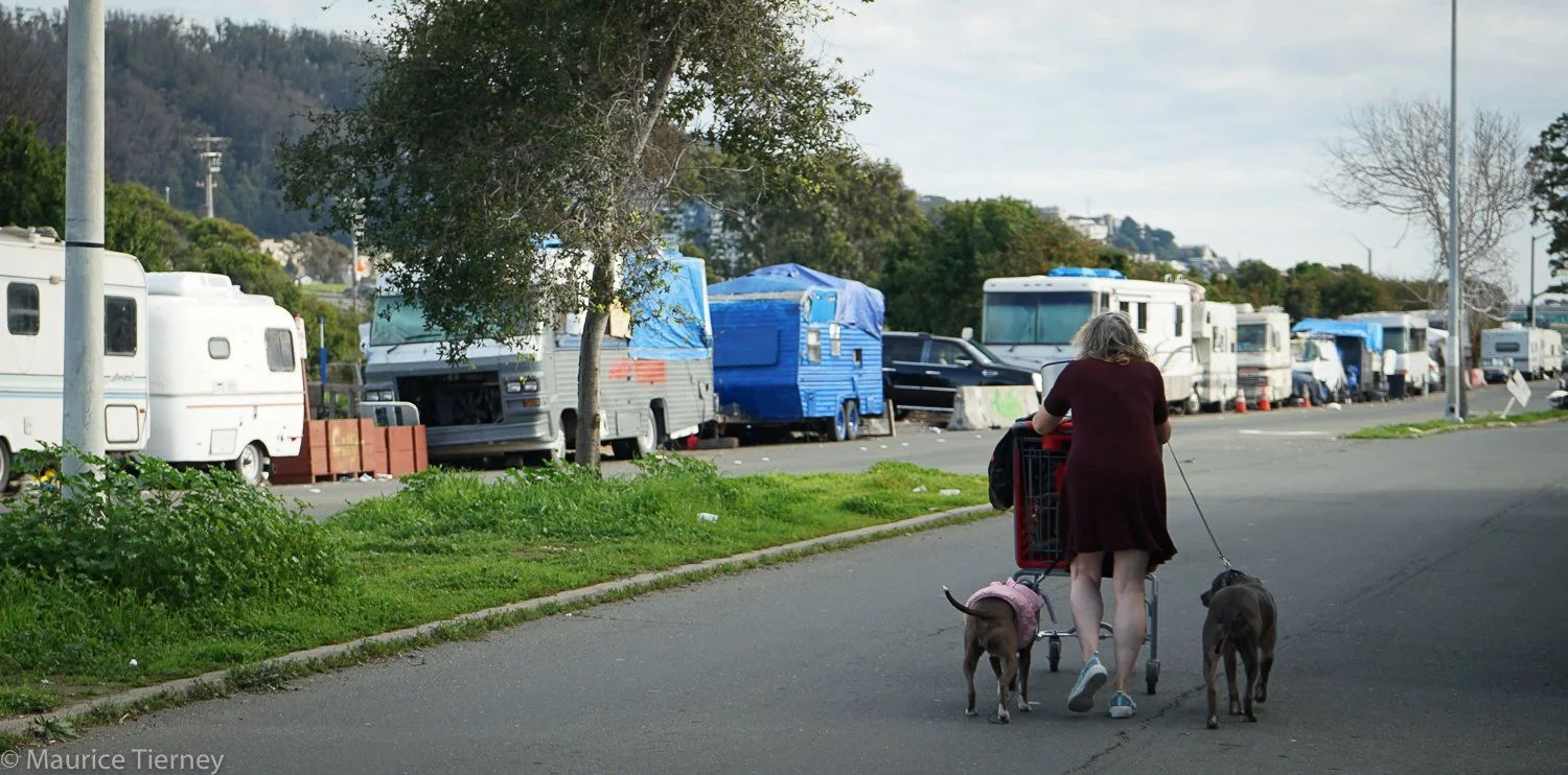 Ryden Rd Day 2-11.jpg