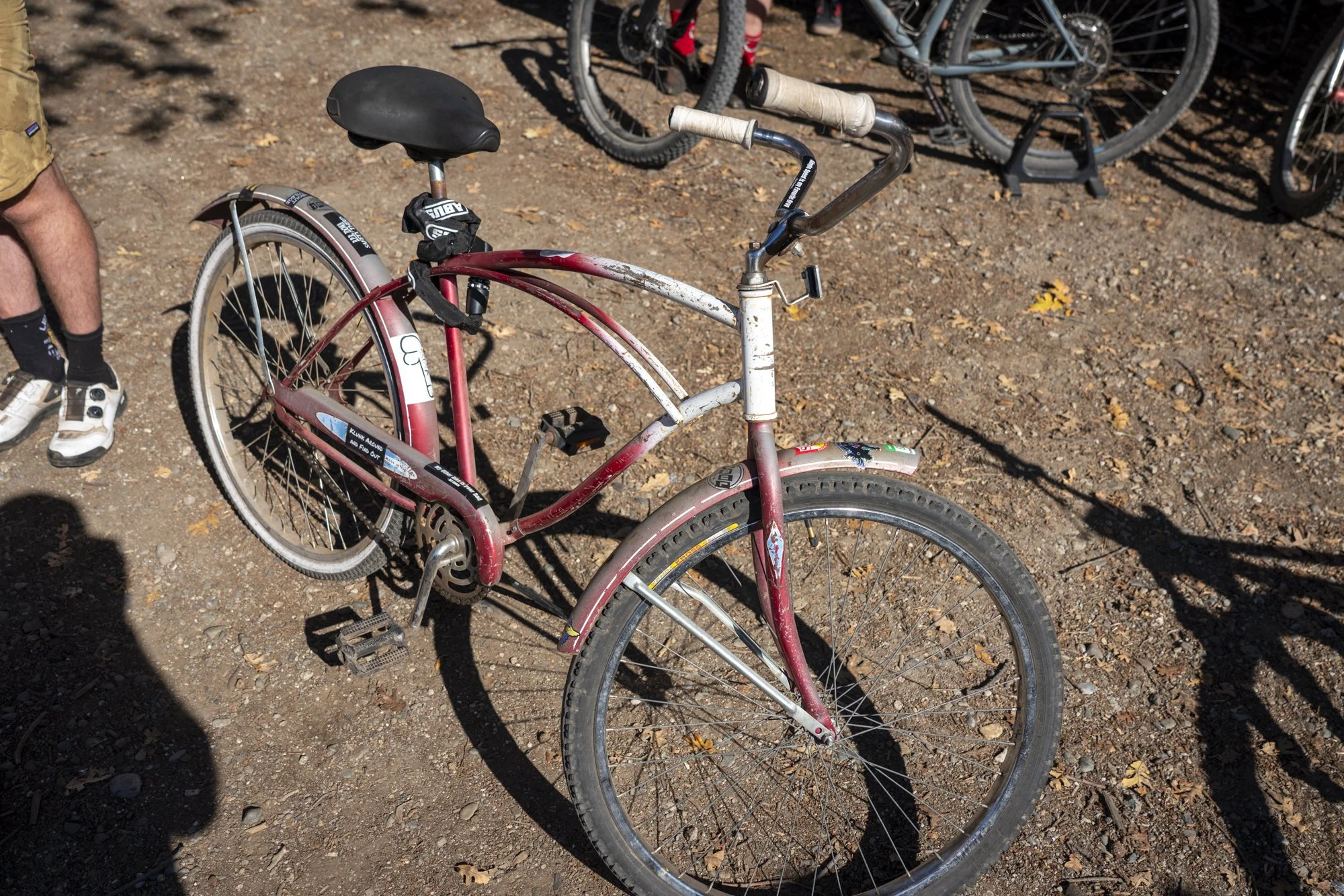11.1.25 Single Speed USA350.jpg