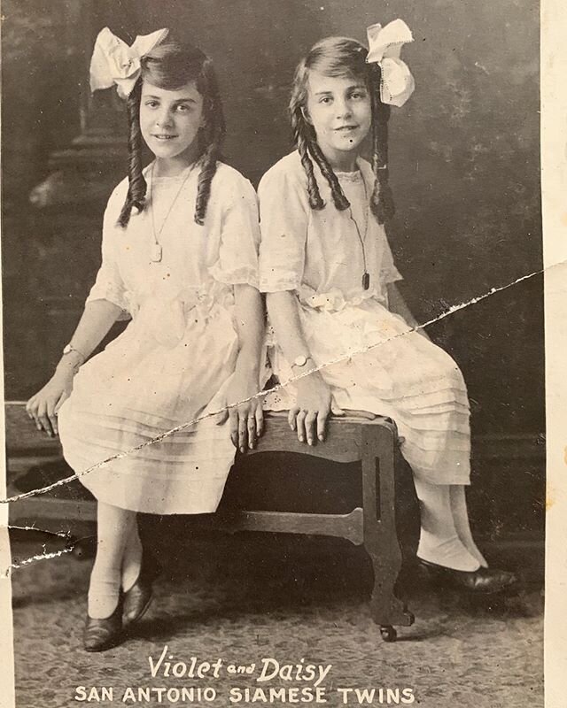 Violet and Daisy Hilton  Conjoined Twins #daisyandviolethilton