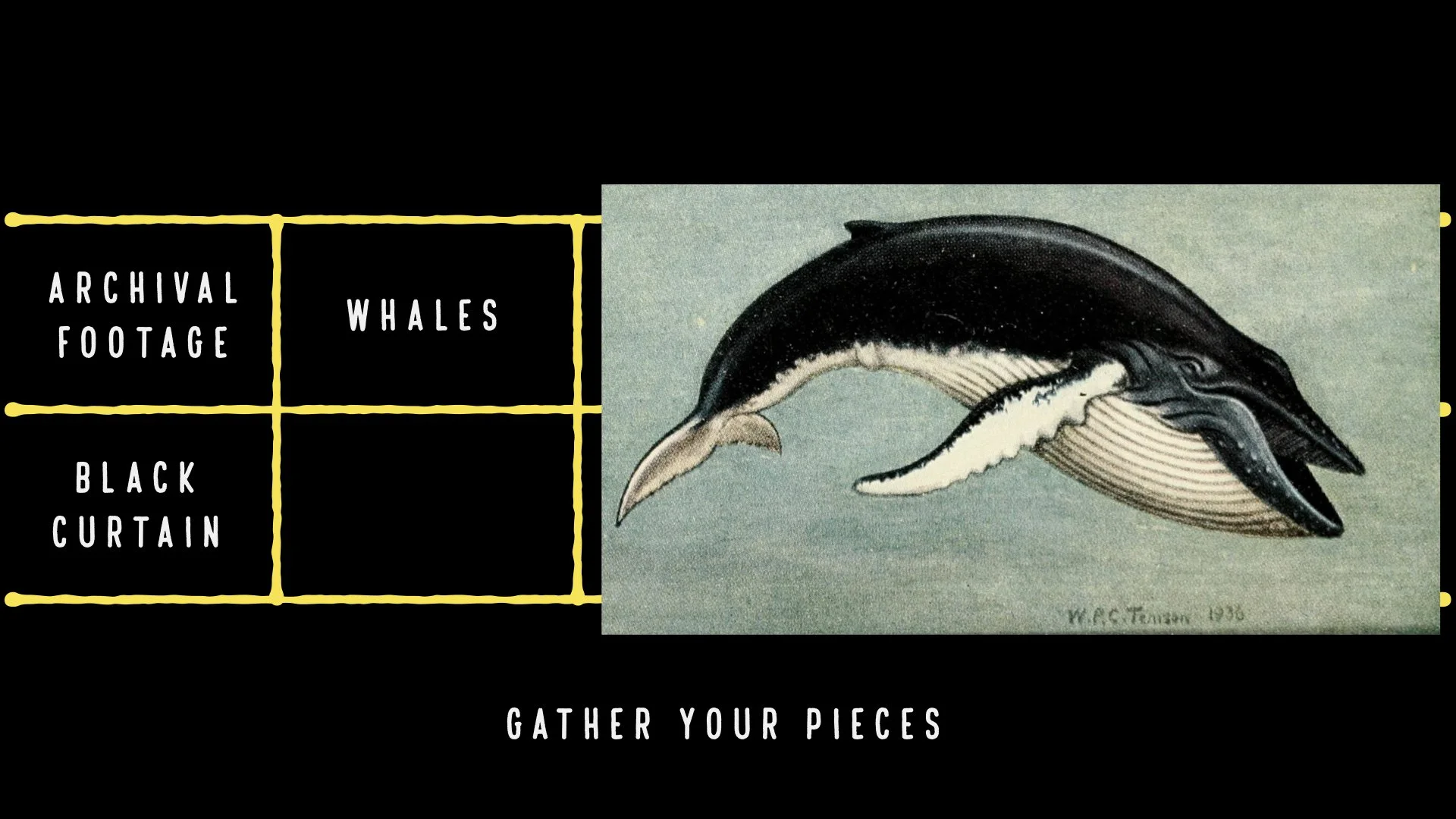 WhaleEyesGuestLecture POSTNYT.009.jpeg