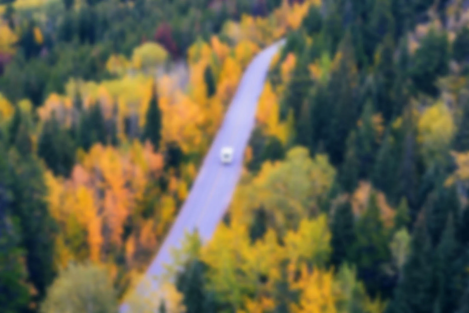 tim-gouw-MP8gUVg2bMQ-unsplash copy.jpg