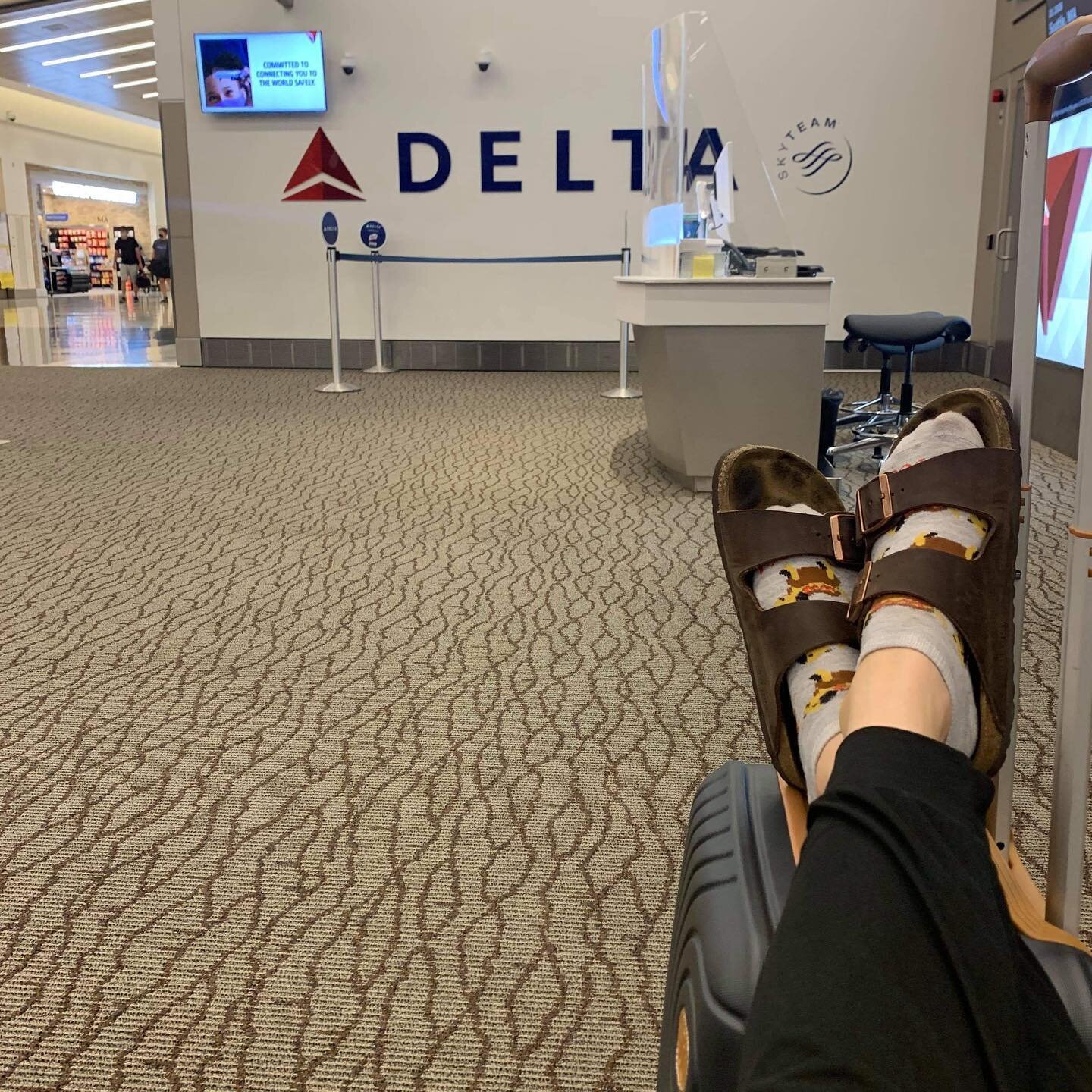 The best way to find answers is to get them yourself! Heading to Virginia for book research! 🤓

#bookstagram #travel #book #writersofinstagram #writingcommunity #cutesocks #biography #familyhistory #writingtrip