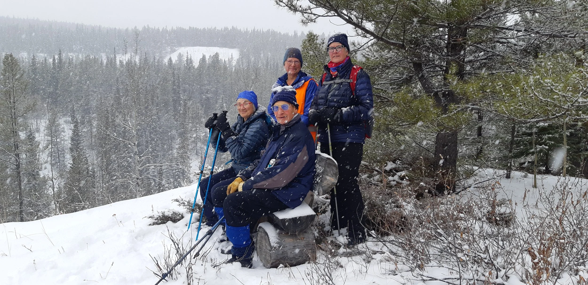 oct 23 wolf creek.jpg