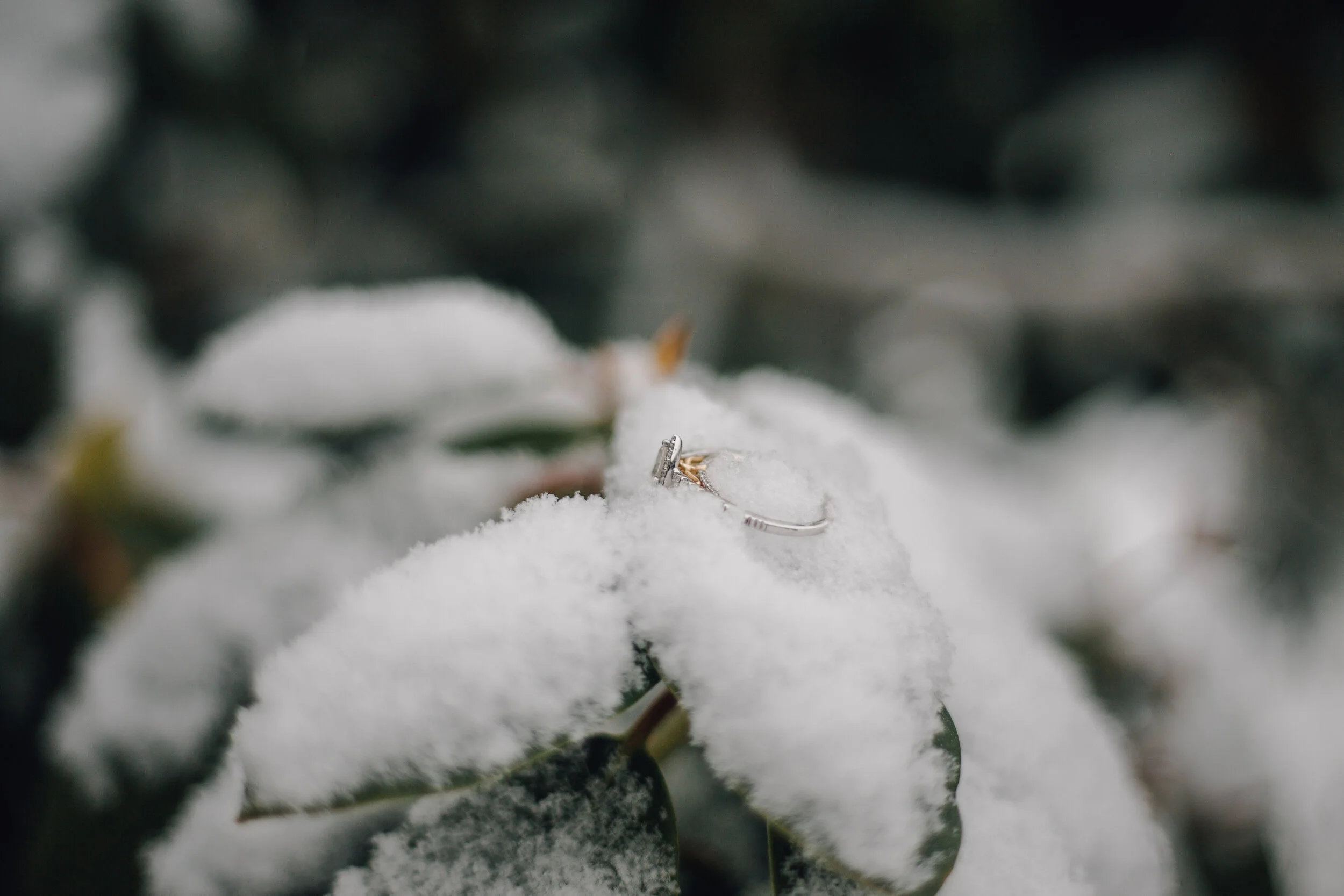 Engagement (19 of 21).JPG