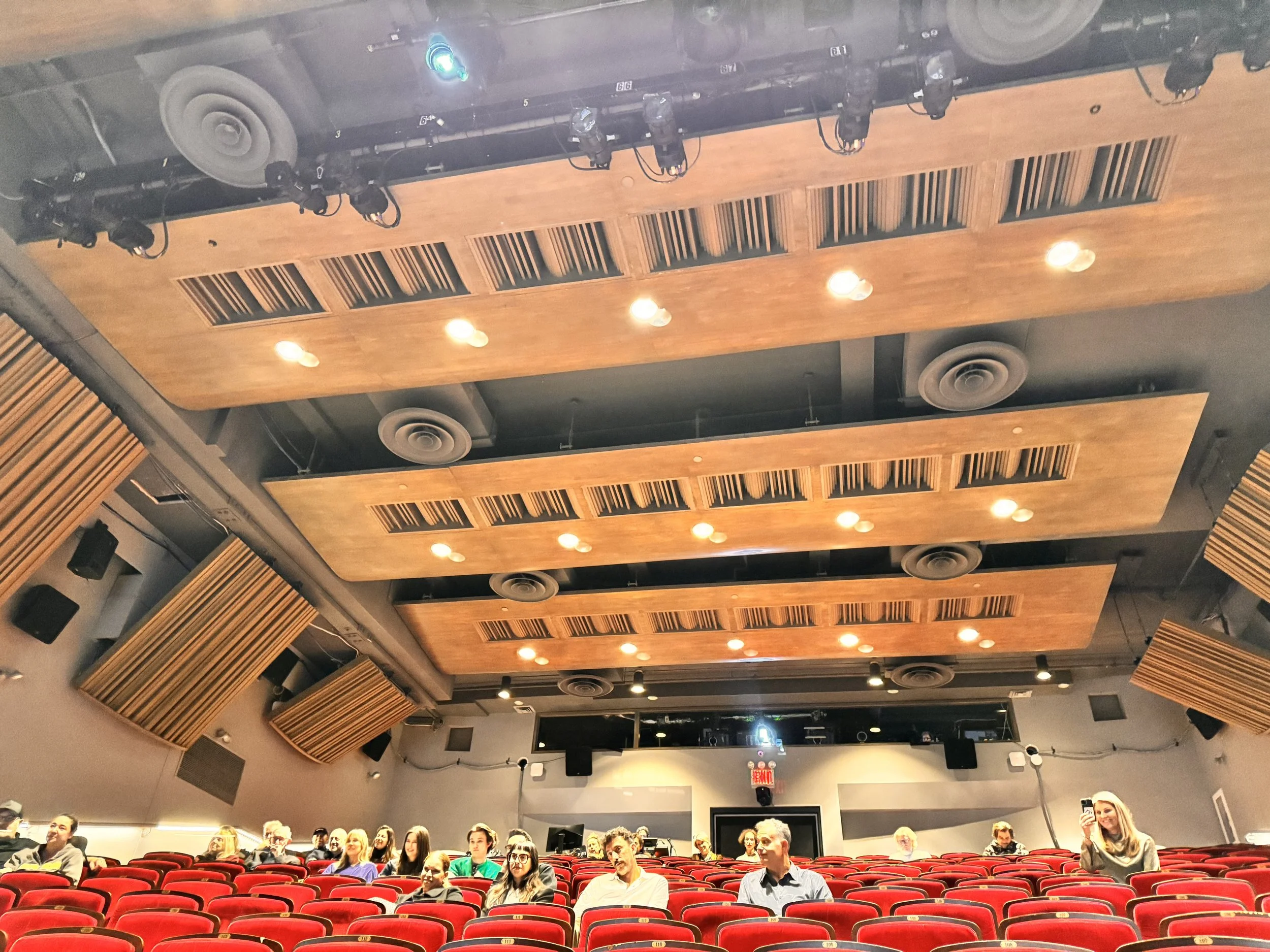 Florence Gould Theater - Photo by Philip Johnson.jpeg