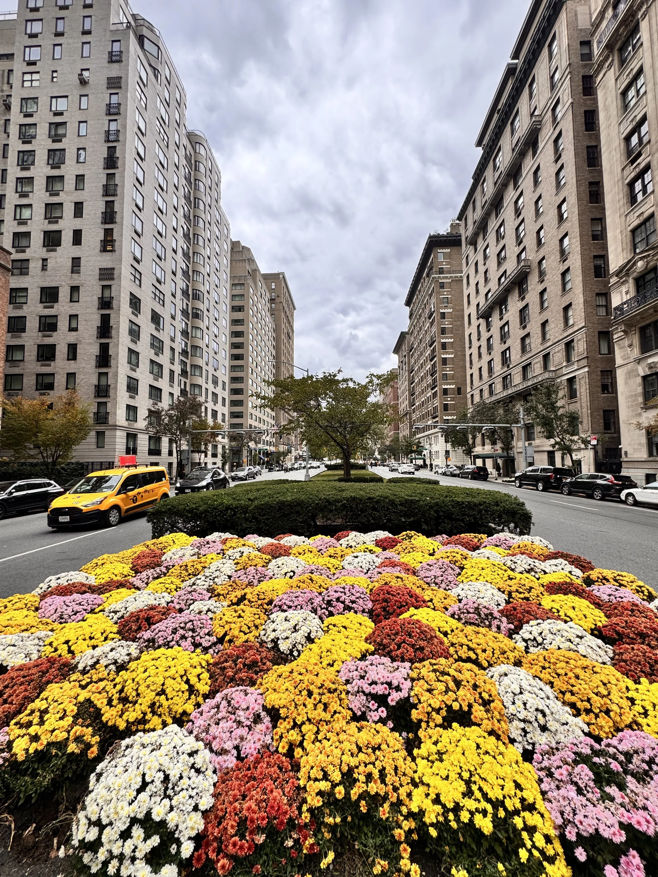 New York 3 - Photo by Philip Johnson.jpeg