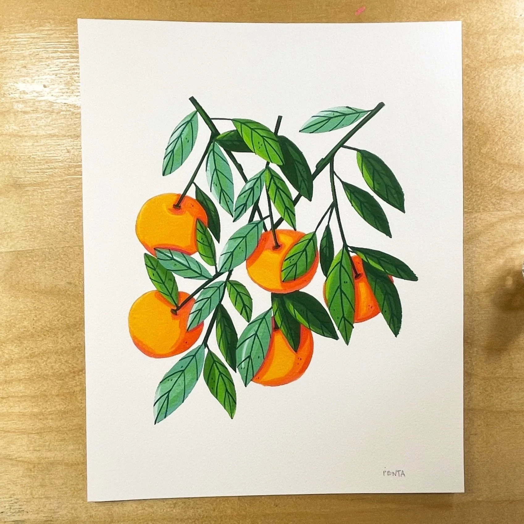 orange%2Bbranch%2Bprint.jpg