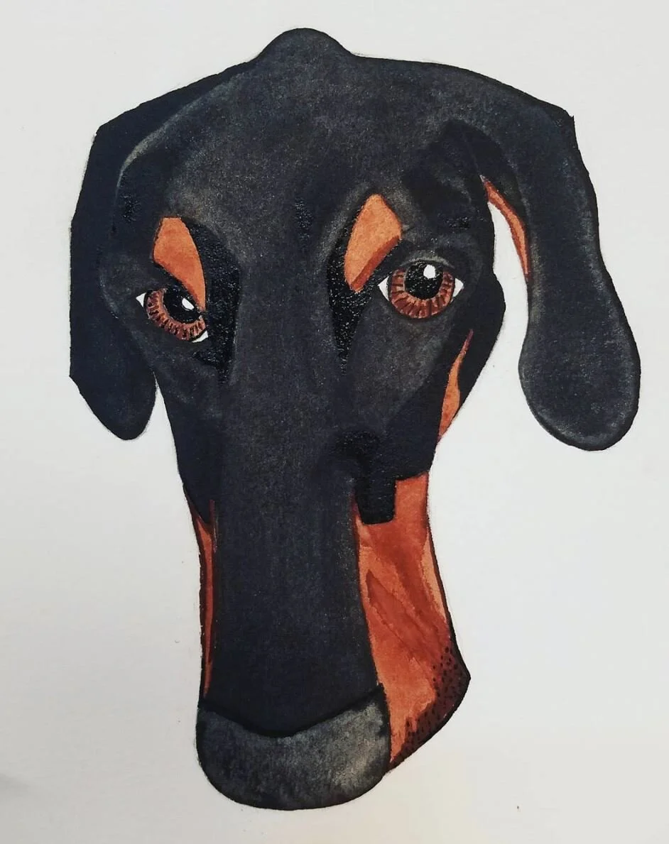 Braeburn Head, Oct. 2017