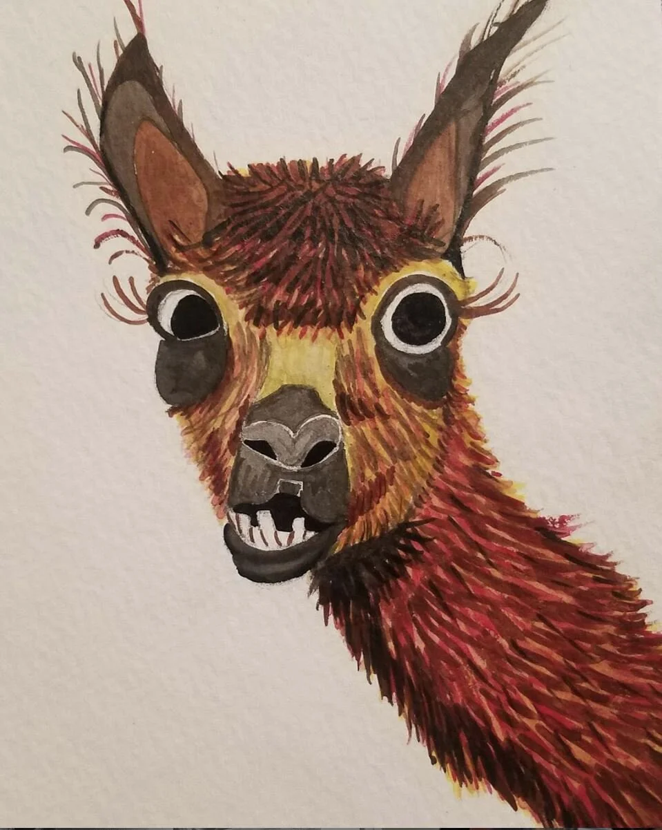 Llama, Oct. 2017