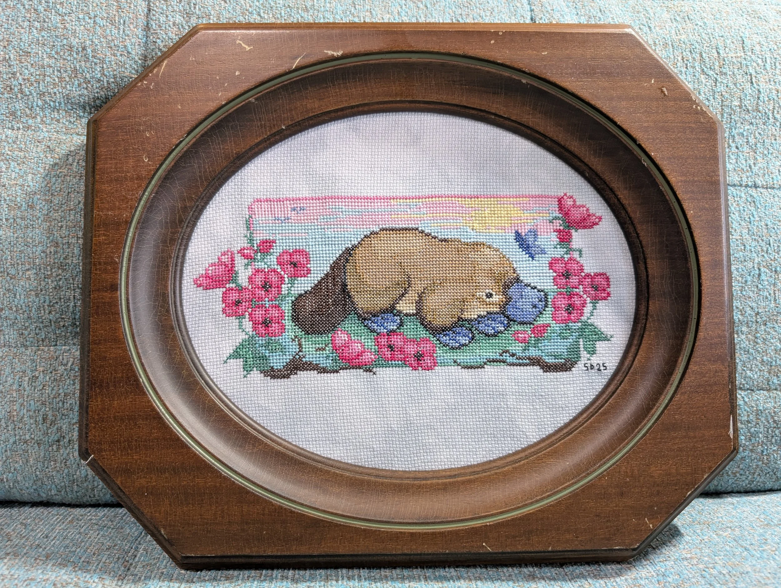 Platypus in a Flower Field, September 2025