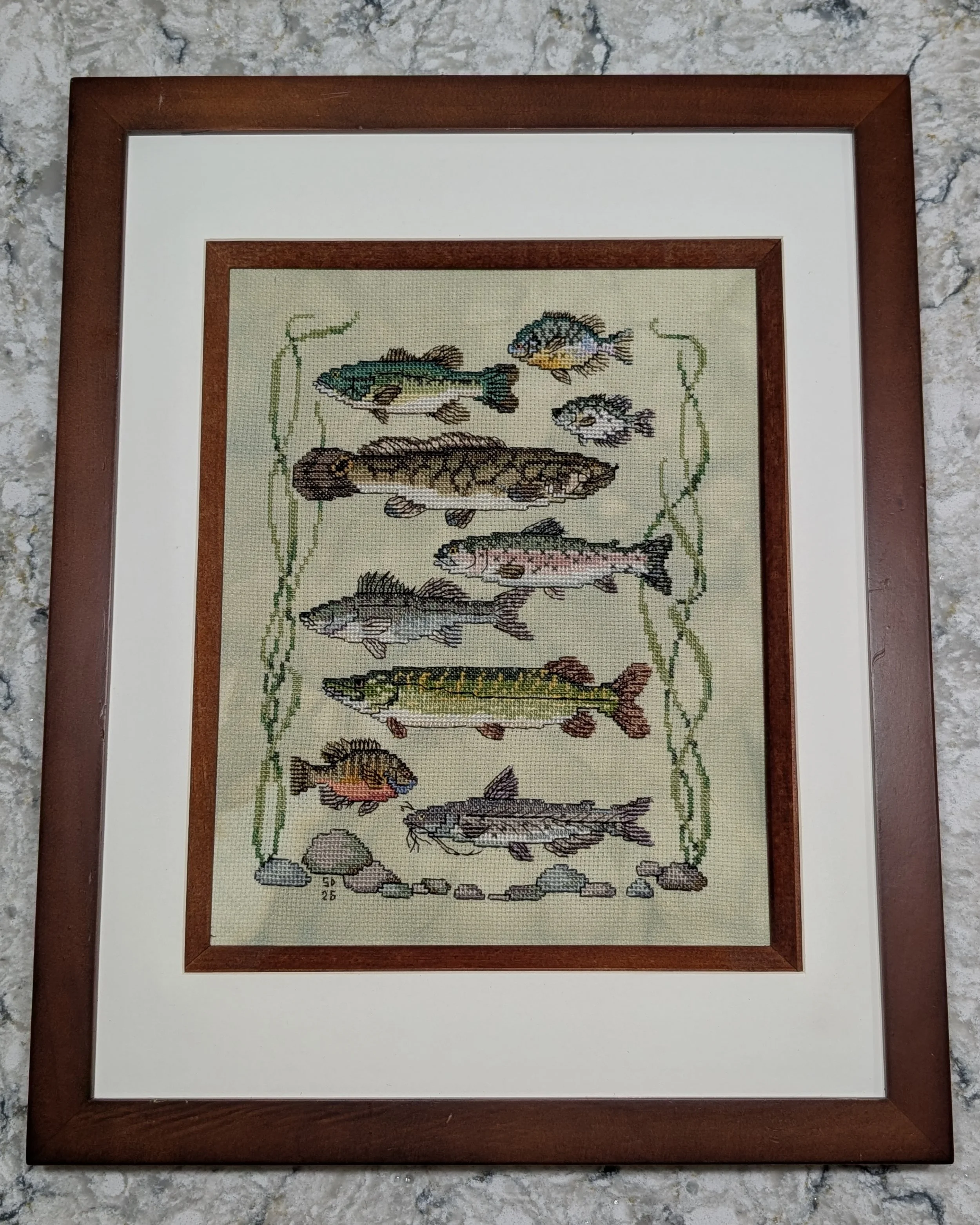 Vintage Fish Sampler, May 2026