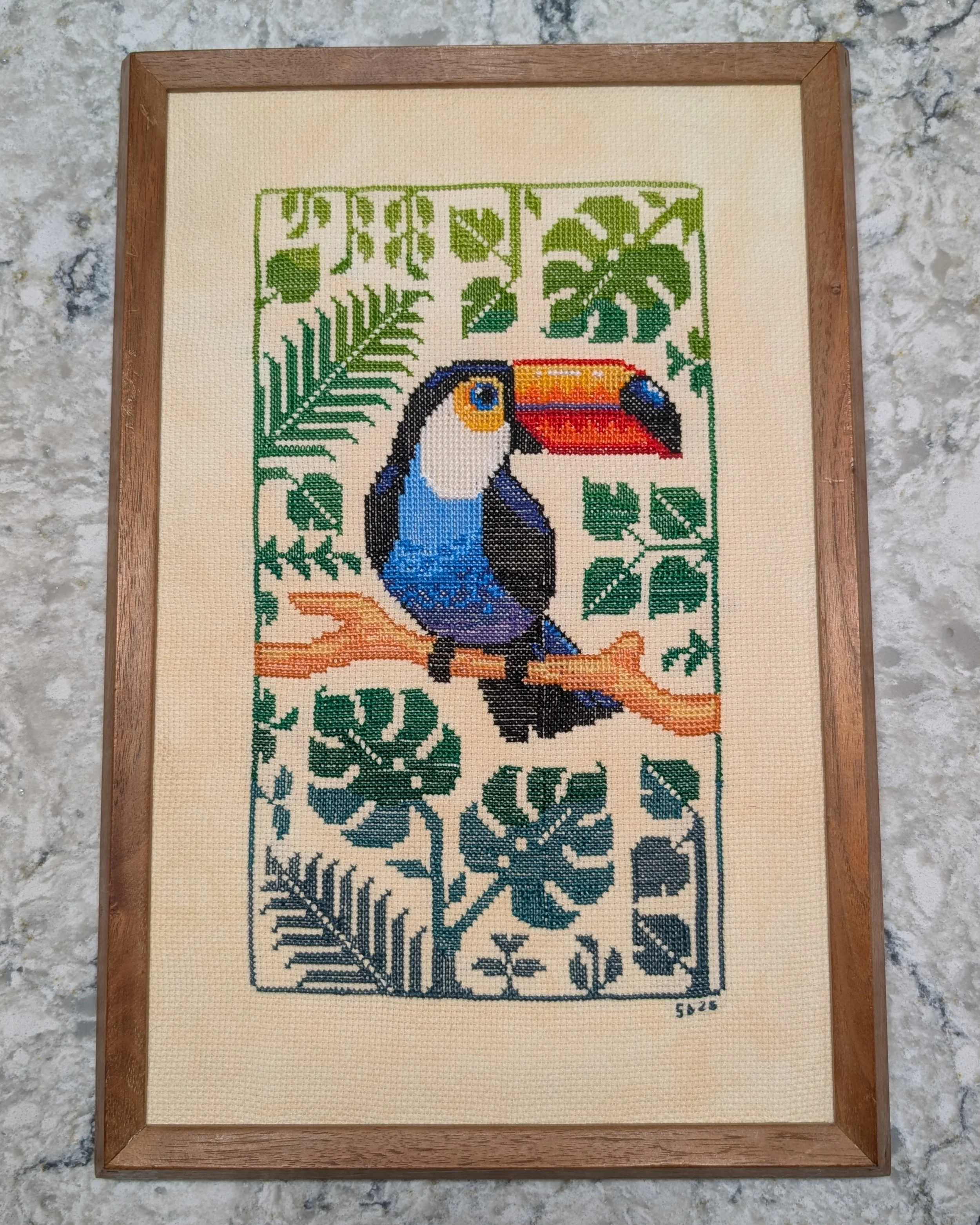 Toucan, June 2026