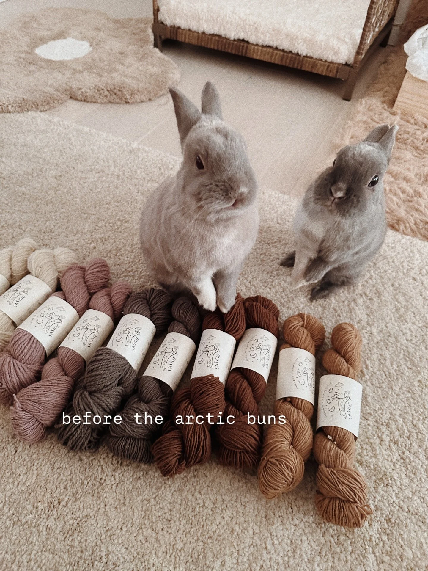 🐰 missing the sweetest boi so much extra lately and feeling grateful for the two silliest buns.