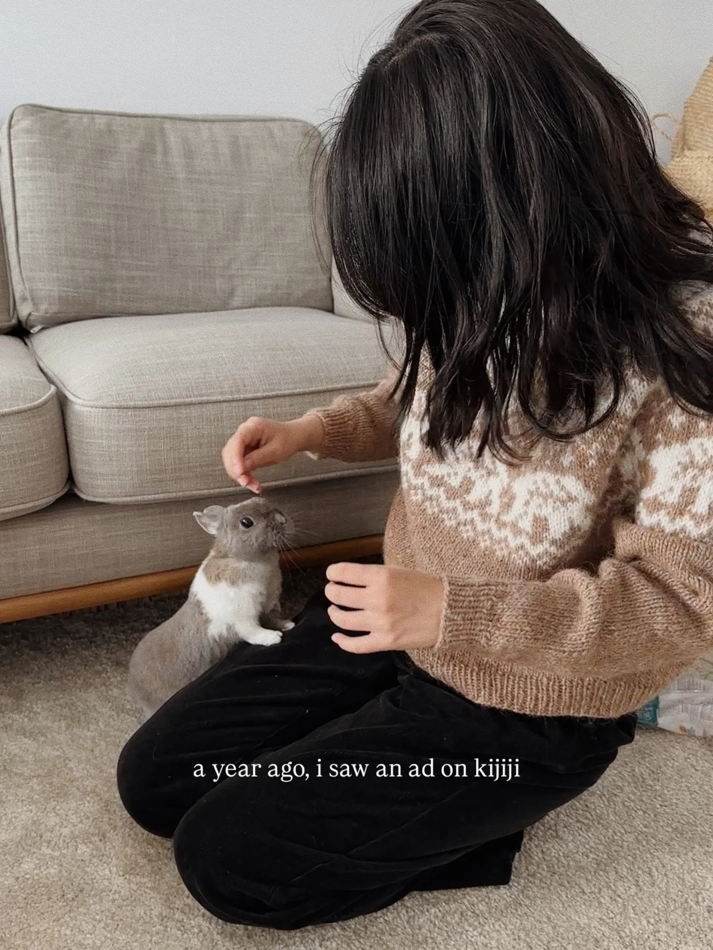 How has it been one year already? Lu turns seven this year and the thought of her spending it in a cage all alone kills me. A gentle reminder that bunnies are not easy starter pets and should not be given to kids as easter presents. They are sensitiv