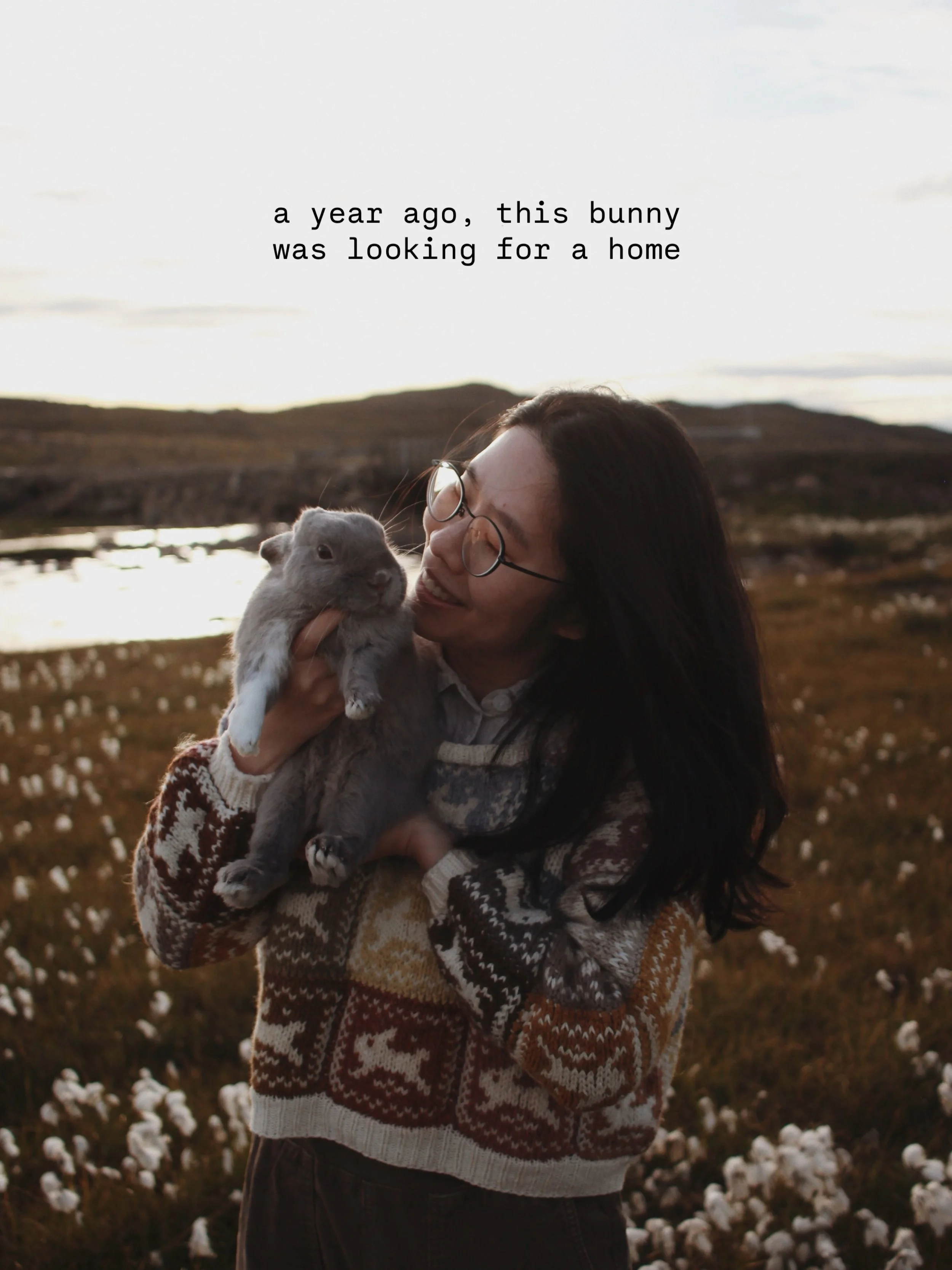 How has it been a whole year since this silly, rambunctious, cheeky little bunny came into my life? The bunny bonding process (or arranged marriage as I like to call it) was a little challenging at first but the buns fell in love almost instantly. I&