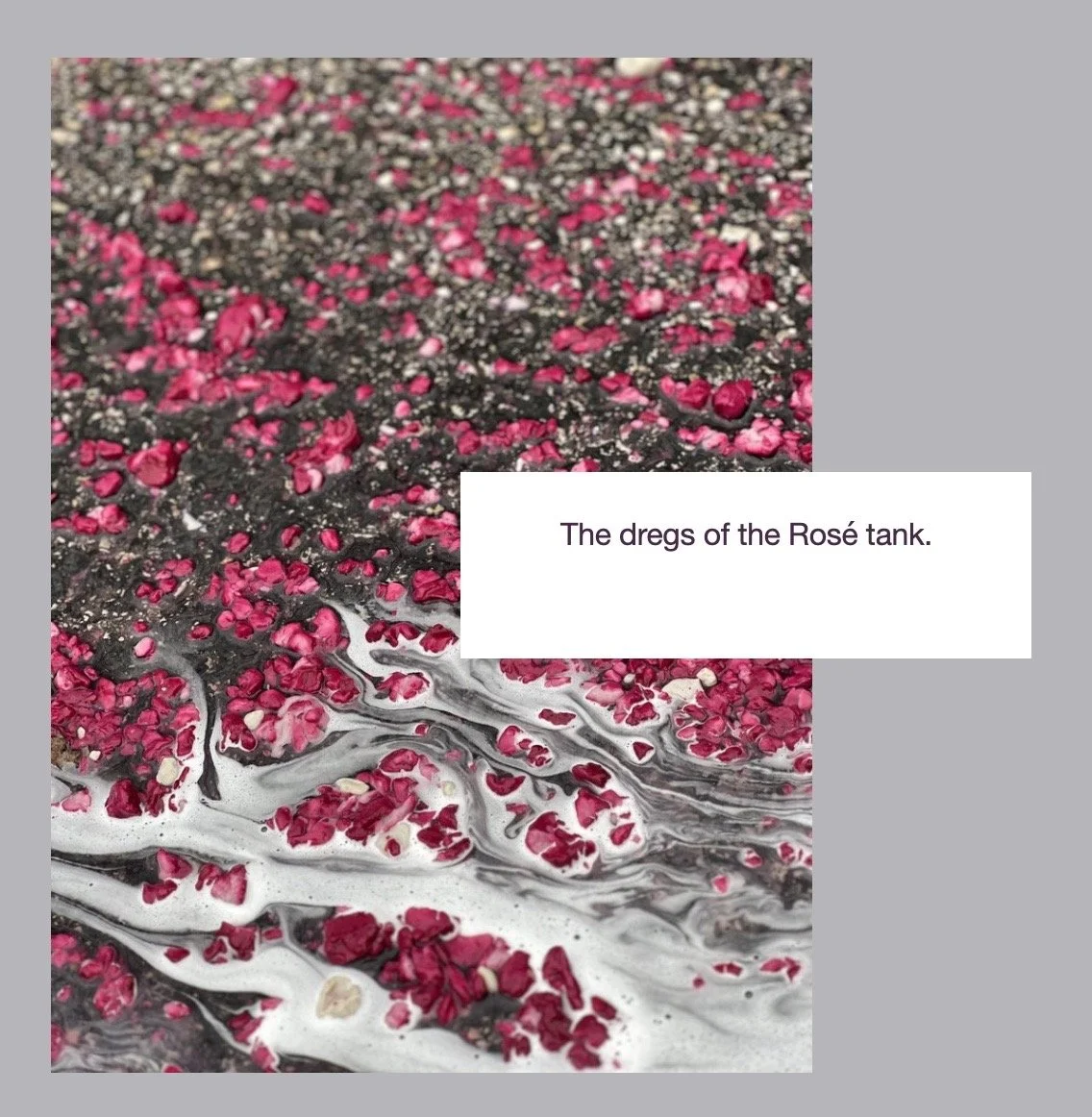 Winery Update - Le Garage Newsletter 2.3.23