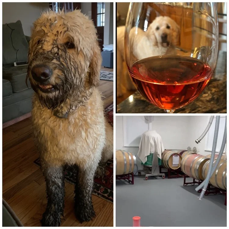 I Found the Batteries and Other Household Faux Pas - April 7, 2023