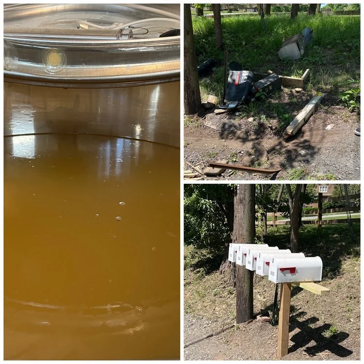 The Recipe - May 20, 2023