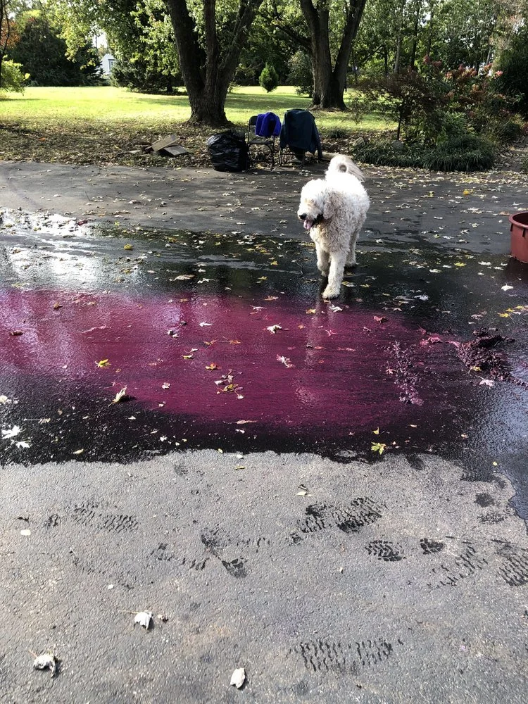 Dirty Work - July 7, 2023