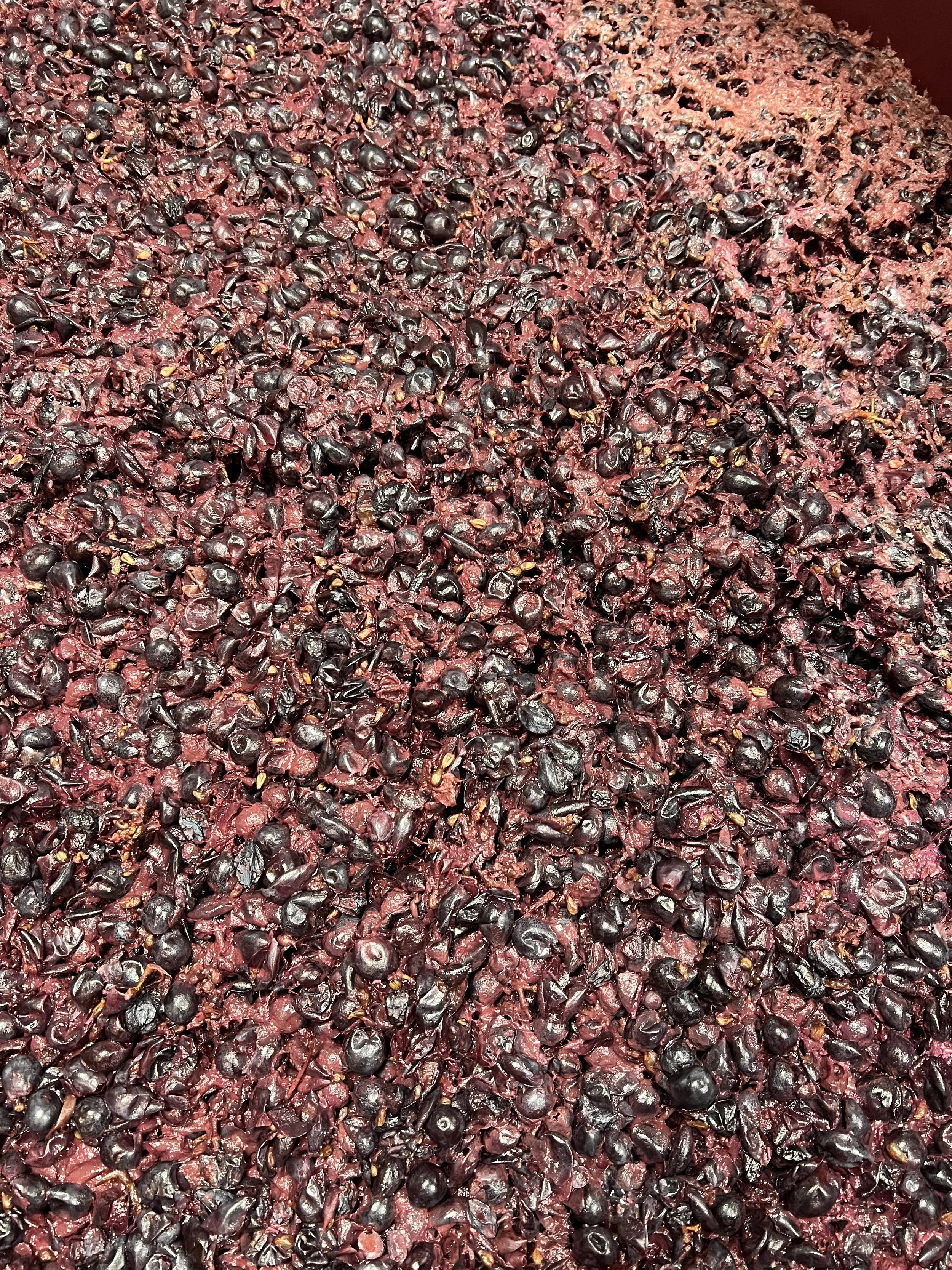 Chianti and Sangiovese