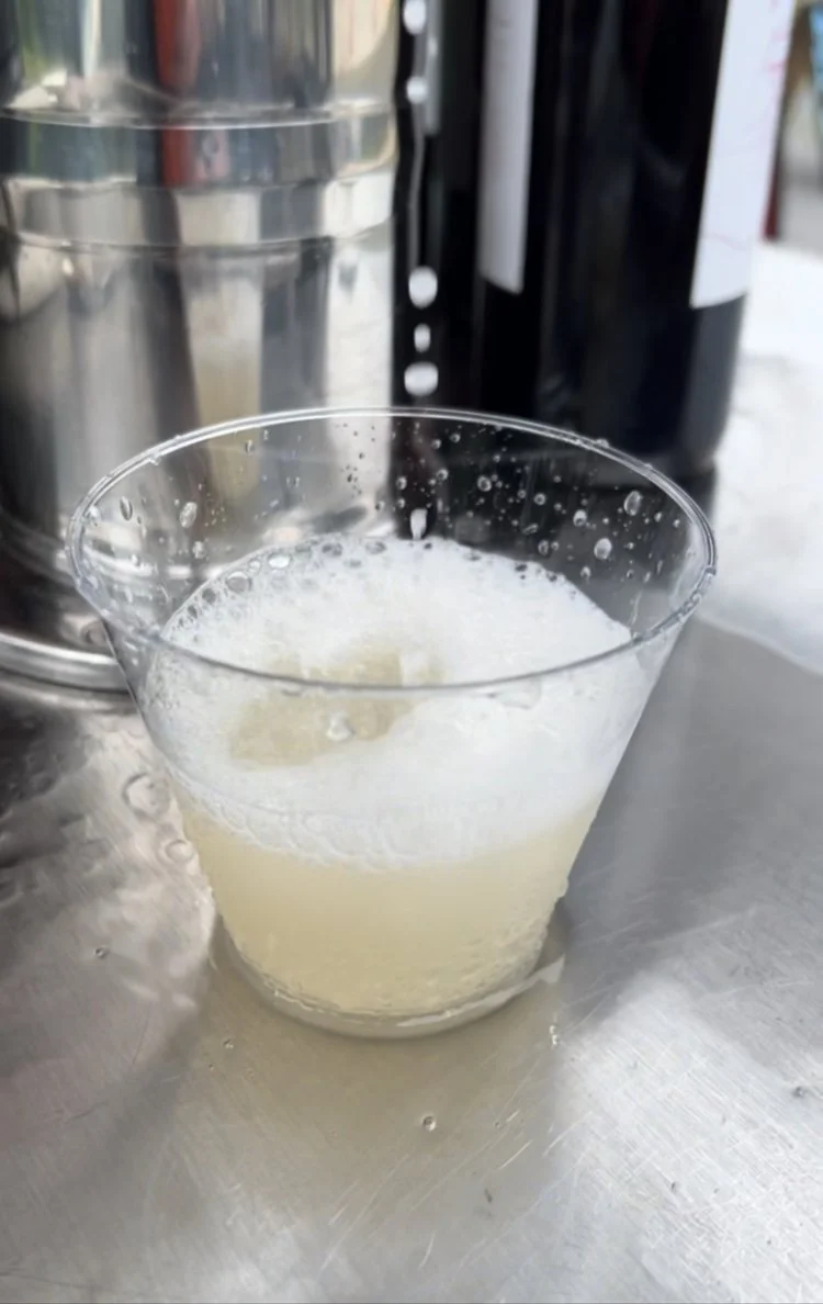 Pétillant Naturel - 6.28.24