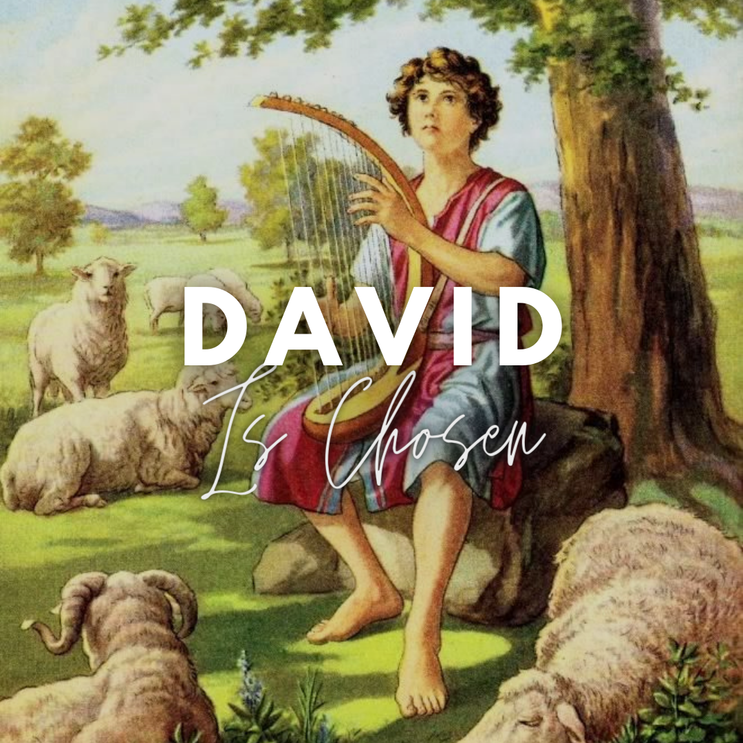 David is Chosen