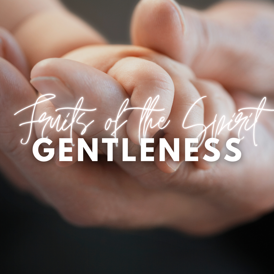 Fruits of the Spirit: Gentleness