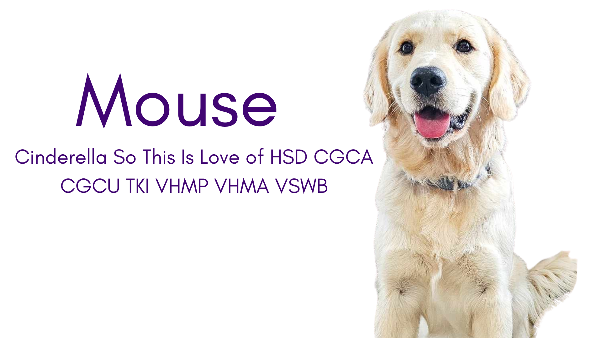 Mouse has earned many titles